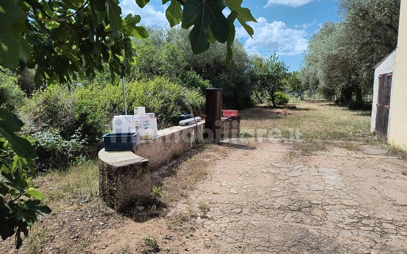 Terratetto unifamiliare Strada Vicinale Punta Moro, Maria Pia, Fertilia, Alghero — foto 8 di 19