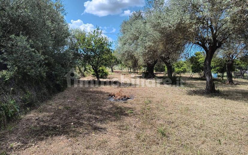 Terratetto unifamiliare Strada Vicinale Punta Moro, Maria Pia, Fertilia, Alghero — foto 6 di 19