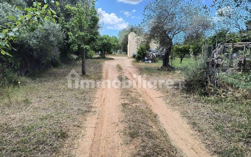 Terratetto unifamiliare Strada Vicinale Punta Moro, Maria Pia, Fertilia, Alghero — foto 2 di 19