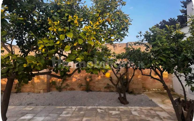 Casale Strada Provinciale di Parabita, Roseo, Parabita — foto 3 di 61