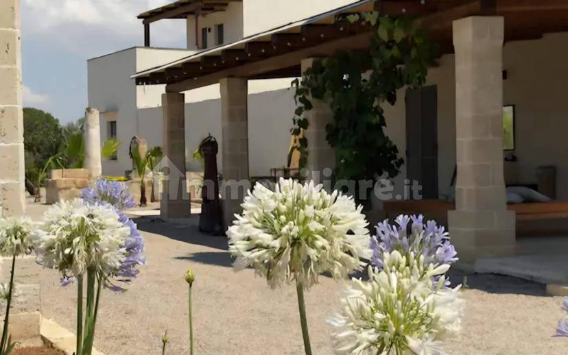 Casale Strada Provinciale di Parabita, Roseo, Parabita — foto 52 di 61