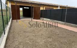 Appartamento viale Libertà 29, Centro, Casatisma