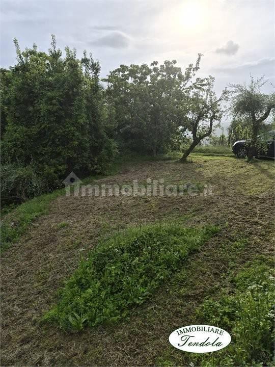 Terratetto plurifamiliare 190 m², Tresana — foto 8 di 10