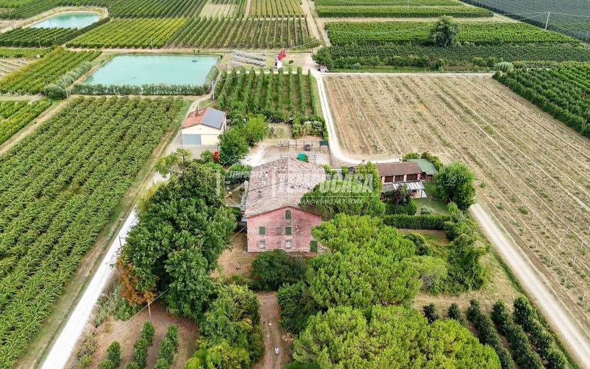 Terratetto unifamiliare via Sarna 111, Faenza — foto 9 di 49