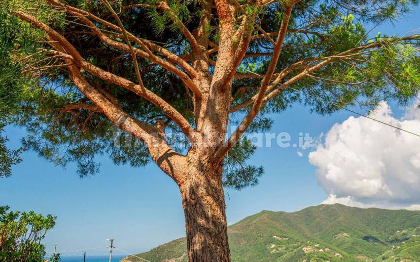 Appartamento via per Lemeglio 52, Centro, Moneglia — foto 23 di 78