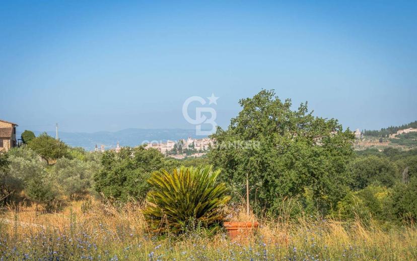 Villa unifamiliare, buono stato, 363 m², Spello — foto 14 di 32