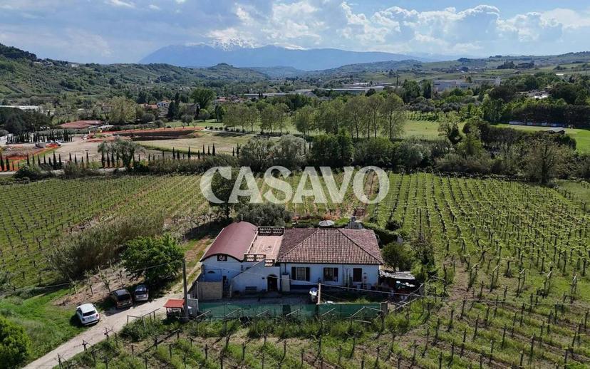 Villa unifamiliare Contrada Cerreto 136, Miglianico — foto 20 di 42