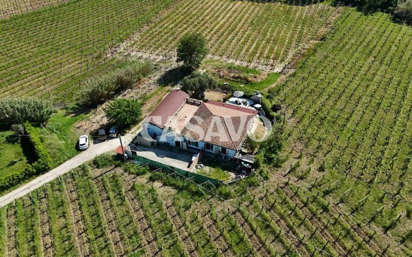 Villa unifamiliare Contrada Cerreto 136, Miglianico — foto 38 di 42