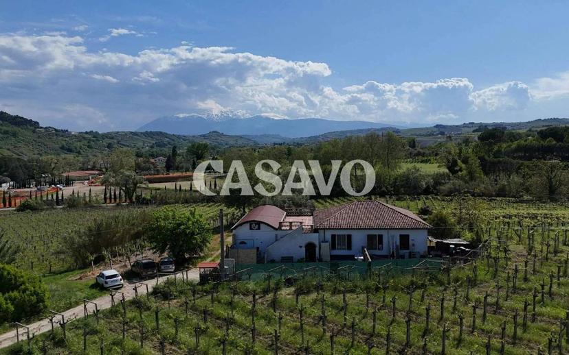 Villa unifamiliare Contrada Cerreto 136, Miglianico — foto 28 di 42