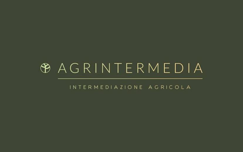 Trilocale corso Guglielmo Marconi 3, Sant'antonio, Magliano Alfieri