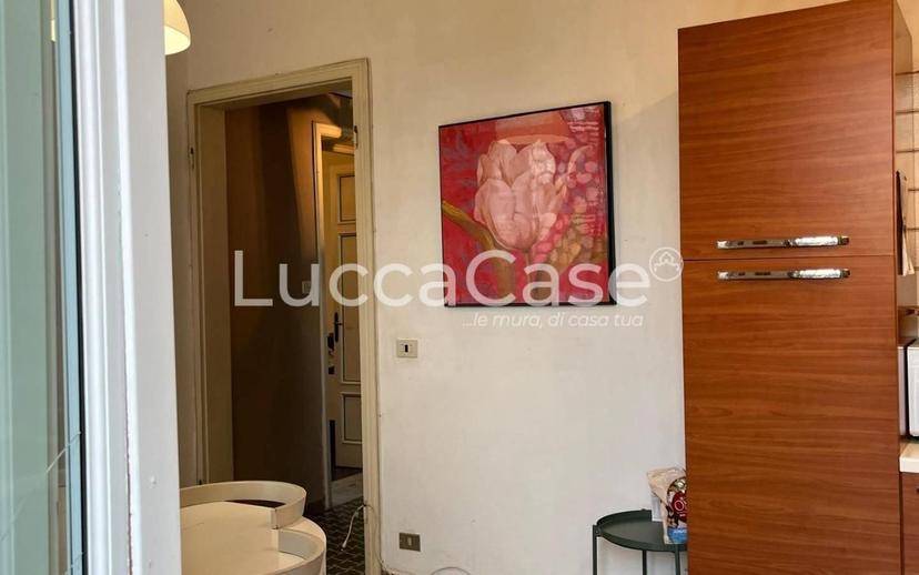 Villa unifamiliare via di Salicchi,, San Marco - Acquacalda, Lucca — foto 11 di 20