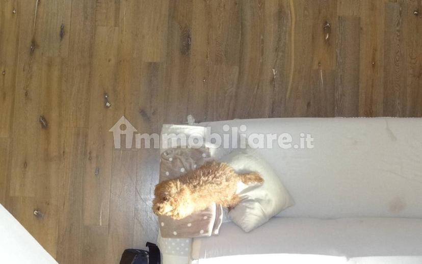 Villa unifamiliare viale Enrico Mattei, Centro, Guastalla — foto 11 di 41