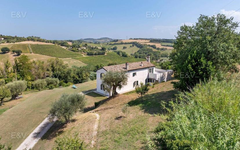 Casale Strada Ferriera, Santa Maria dell'Arzilla, Pesaro — foto 7 di 15