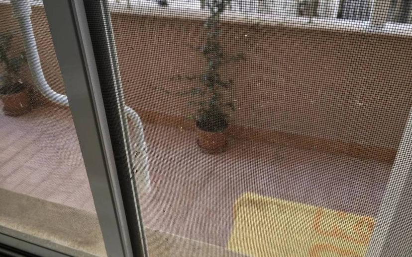 Trilocale discesa Bastione Castello, Centro, Crotone — foto 17 di 30