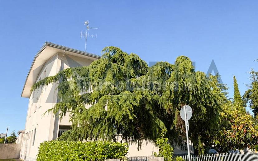Villa unifamiliare via San Giuseppe, Cotignola — foto 3 di 16