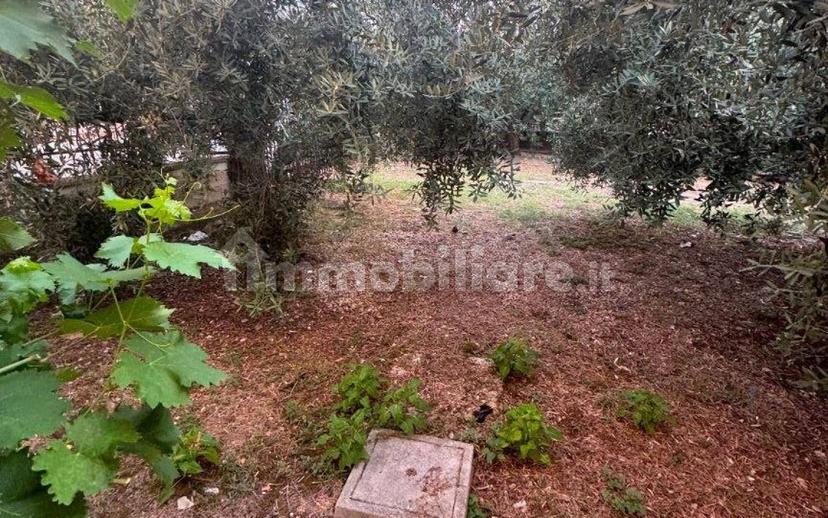 Appartamento via Arnale Rosso, Centro, Fondi — foto 6 di 20