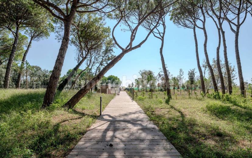 Appartamenti e Attici di nuova costruzione a Jesolo — foto 10 di 15