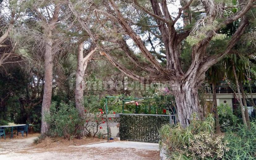 Quadrilocale via dei Lecci, Cala Gonone, Dorgali — foto 5 di 16