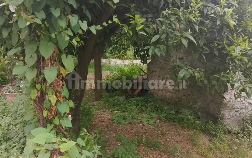 Cascina Contrada Vallebruca, Sant'Agata di Militello — foto 28 di 32