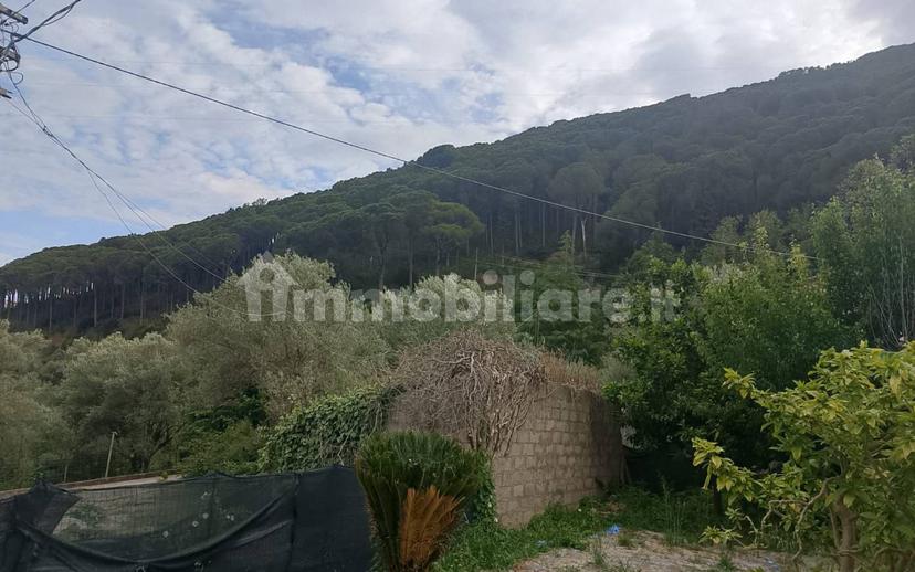 Cascina Contrada Vallebruca, Sant'Agata di Militello — foto 8 di 32
