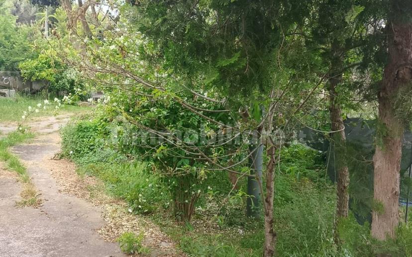 Cascina Contrada Vallebruca, Sant'Agata di Militello — foto 11 di 32