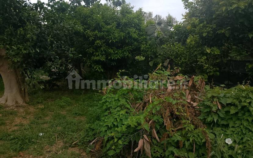 Cascina Contrada Vallebruca, Sant'Agata di Militello — foto 25 di 32