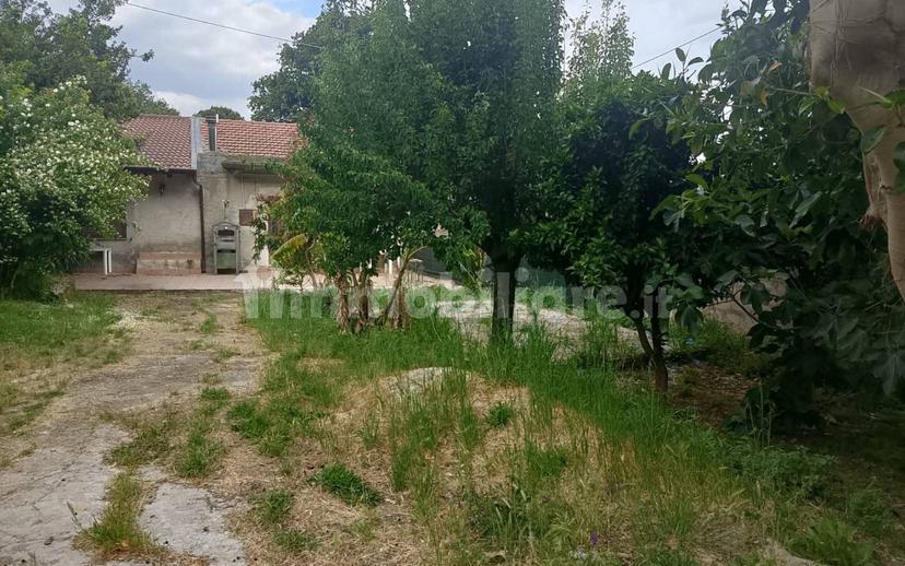 Cascina Contrada Vallebruca, Sant'Agata di Militello — foto 13 di 32