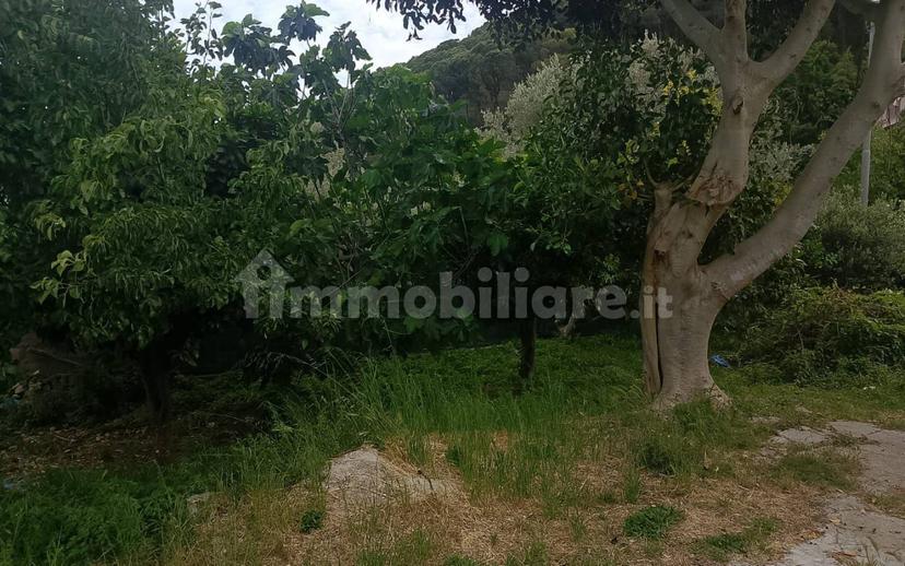 Cascina Contrada Vallebruca, Sant'Agata di Militello — foto 29 di 32