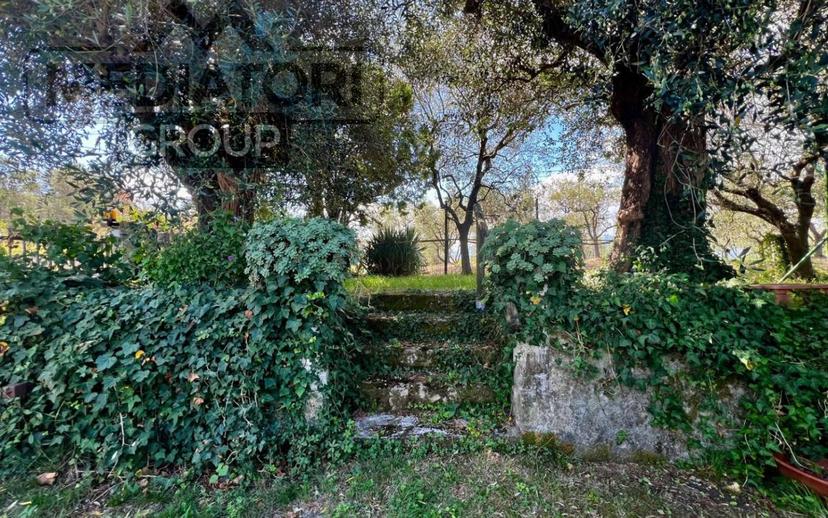 Villa unifamiliare via della Tinaia, Montecarlo — foto 9 di 12