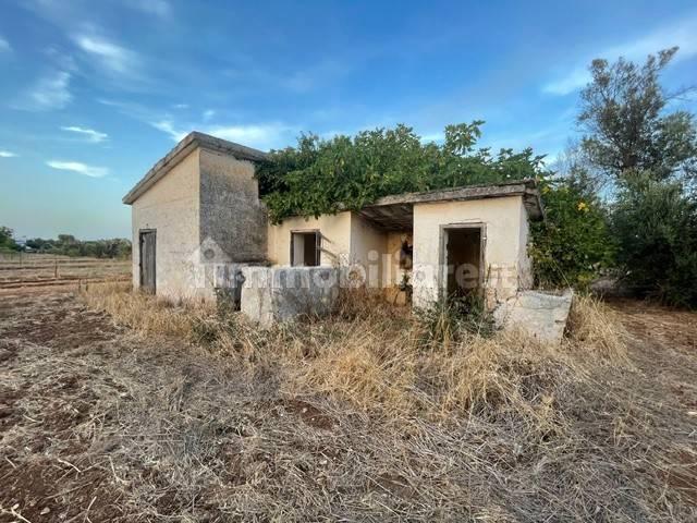 Casa colonica Strada Comunale Pilella, Montenegro, Brindisi — foto 18 di 20