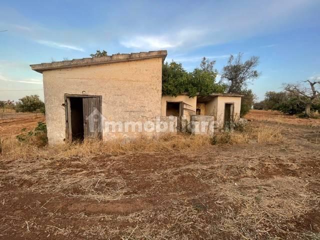 Casa colonica Strada Comunale Pilella, Montenegro, Brindisi — foto 11 di 20