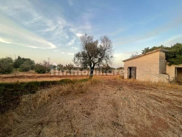 Casa colonica Strada Comunale Pilella, Montenegro, Brindisi — foto 5 di 20