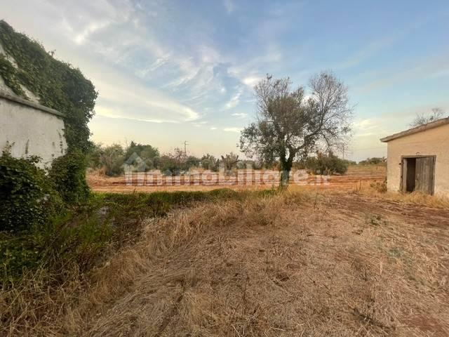 Casa colonica Strada Comunale Pilella, Montenegro, Brindisi — foto 15 di 20