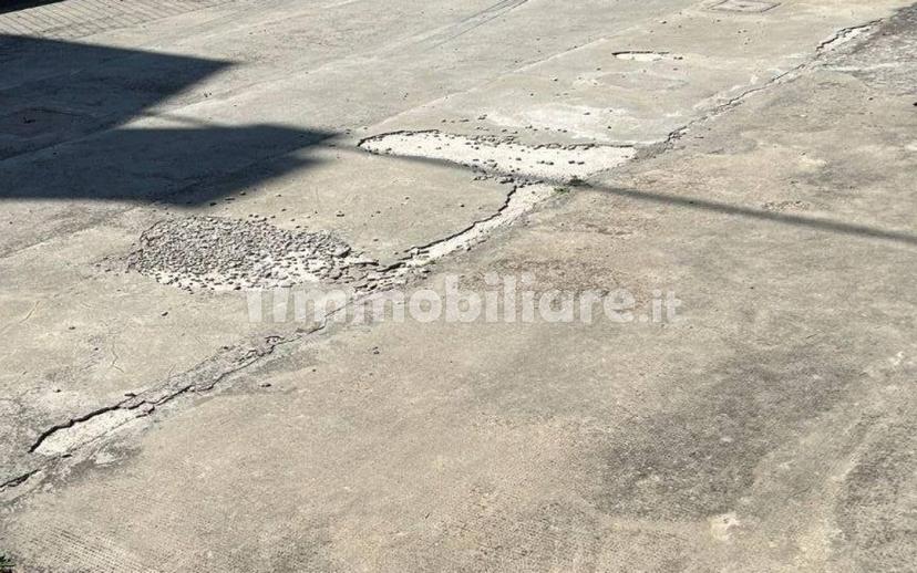 Villa a schiera 4 locali, buono stato, Bosco Mesola, Mesola — foto 22 di 25