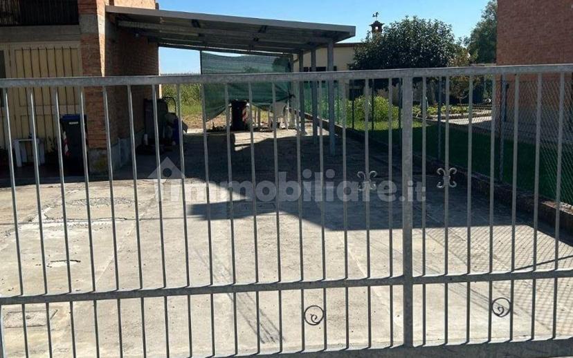 Villa a schiera 4 locali, buono stato, Bosco Mesola, Mesola — foto 6 di 25