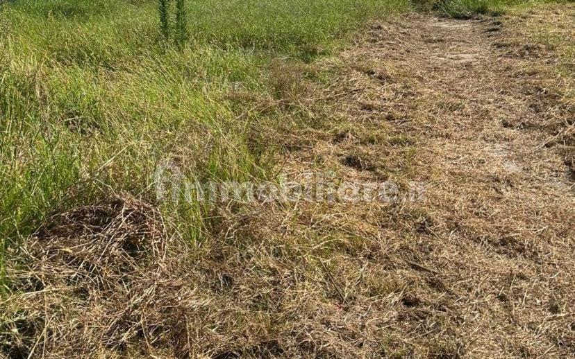 Villa a schiera 4 locali, buono stato, Bosco Mesola, Mesola — foto 23 di 25
