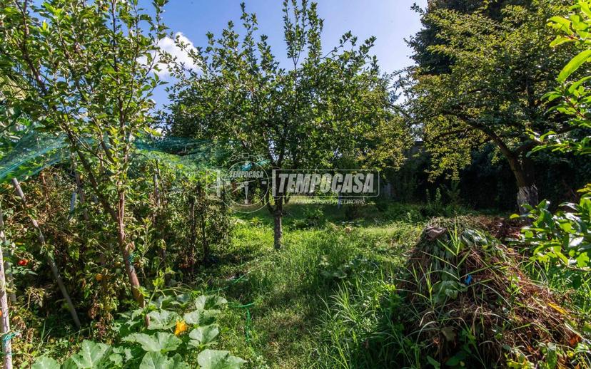 Terratetto unifamiliare via Fratelli Cairoli 1, Gorla Minore — foto 11 di 23