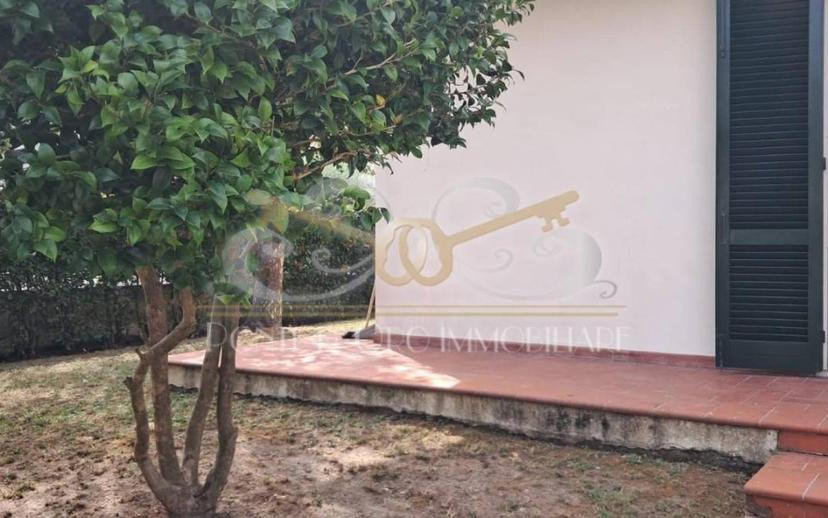 Villa a schiera 5 locali, buono stato, Migliarino, Vecchiano — foto 11 di 30
