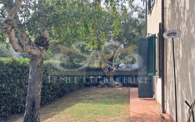 Villa a schiera 5 locali, buono stato, Migliarino, Vecchiano — foto 21 di 30