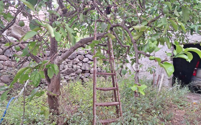 Terratetto unifamiliare via San Pancrazio, Suni — foto 20 di 35
