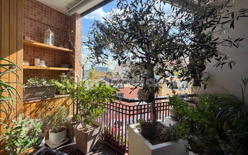 Appartamento via Francesco Crispi 15A, Centro, Campobasso — foto 11 di 41