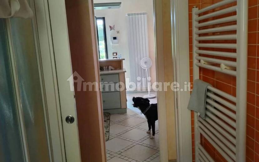 Appartamento piano terra, Centro Città, Ventimiglia — foto 9 di 18