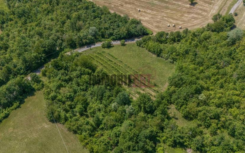 Terratetto unifamiliare Strada Farneto 11, Neviano degli Arduini — foto 25 di 47