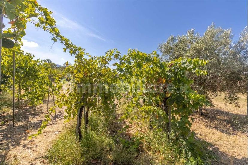 Villa unifamiliare via delle Camelie, 0, Quartucciu — foto 34 di 49
