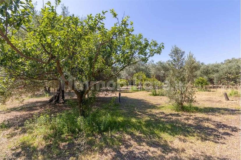Villa unifamiliare via delle Camelie, 0, Quartucciu — foto 30 di 49