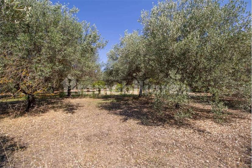 Villa unifamiliare via delle Camelie, 0, Quartucciu — foto 19 di 49