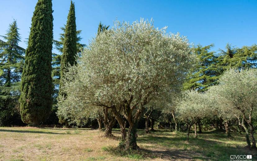 Villa unifamiliare via Pilla 49, Arcugnano — foto 26 di 30