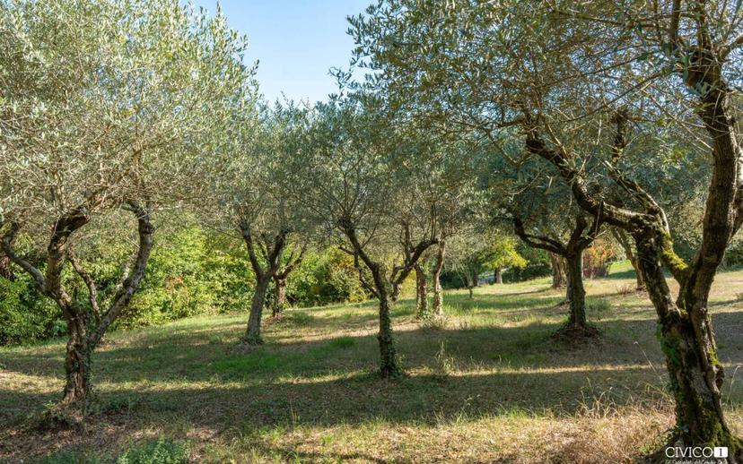 Villa unifamiliare via Pilla 49, Arcugnano — foto 8 di 30