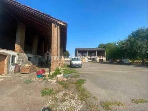 Villa unifamiliare Strada Provinciale San C, Centro, Castelnuovo Scrivia — foto 7 di 36