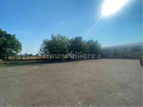 Villa unifamiliare Strada Provinciale San C, Centro, Castelnuovo Scrivia — foto 22 di 36